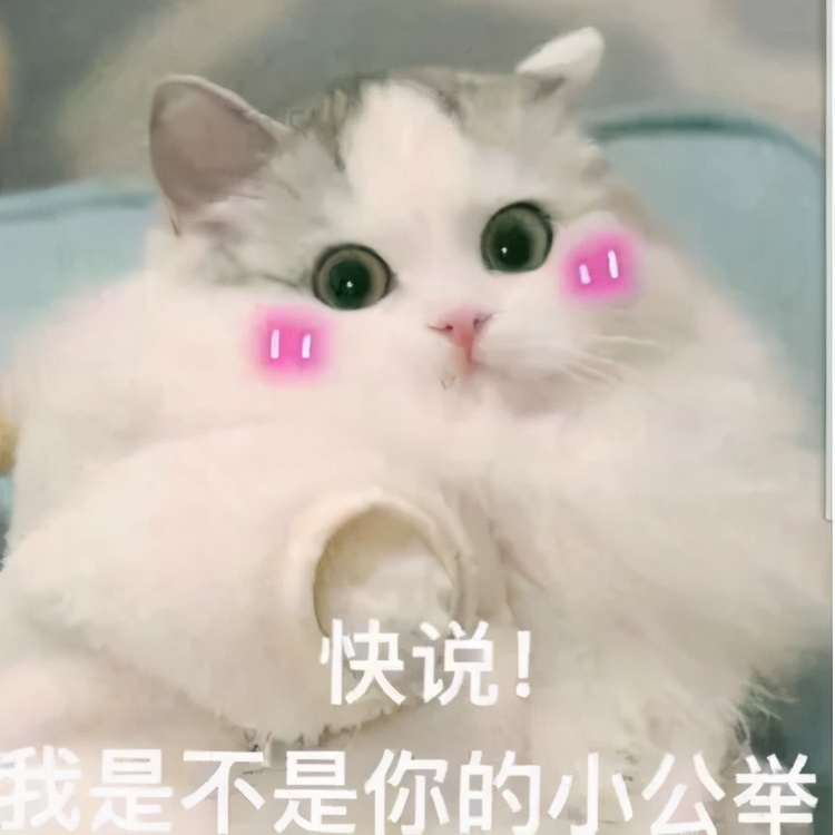 准大一来看！高考后的三个月暑假我要做的那些事(一)