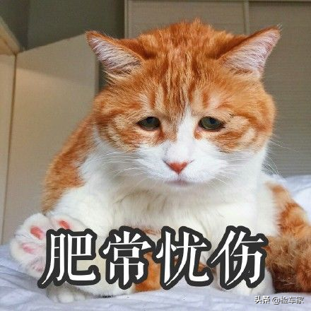 开着大G来买路虎，36万成交当年两百万的揽胜，网友：侮辱性不强