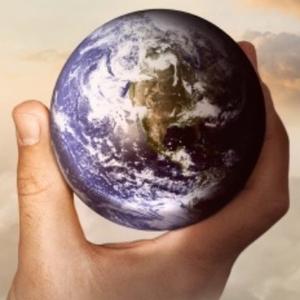 海尔大学（大学）