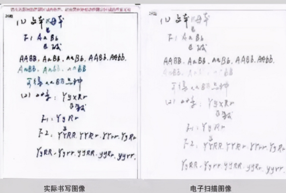 考场中“最差”的答题卡，阅卷老师看后很头疼，家长：皮痒了吧