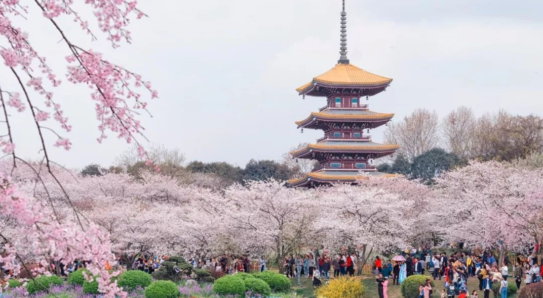 国内39所985大学投档线排名，一共分为6个档次，实力强弱一目了然