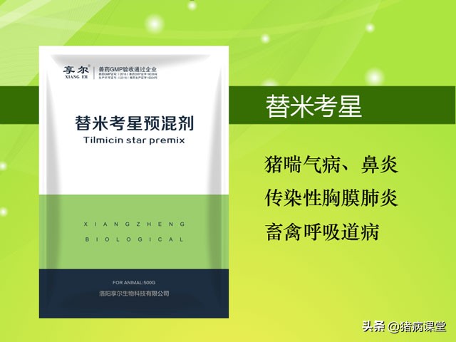 豬藍耳病的治療方法,豬藍耳病的治療方法及癥狀