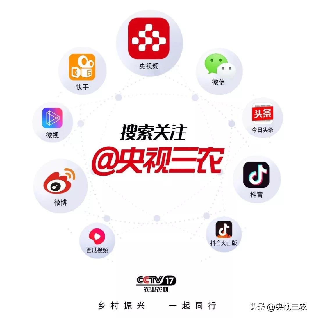 红糖能补血吗？这些关于红糖的秘密你该知道