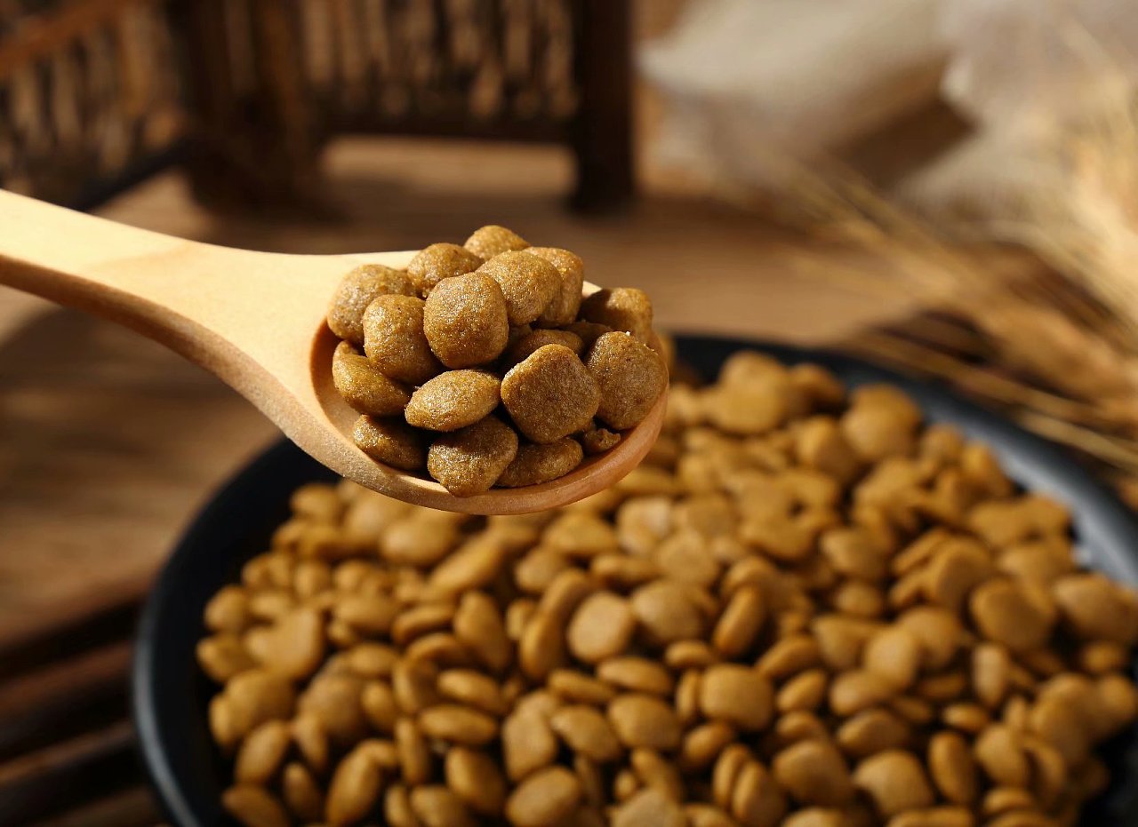 选择什么狗粮品牌好?