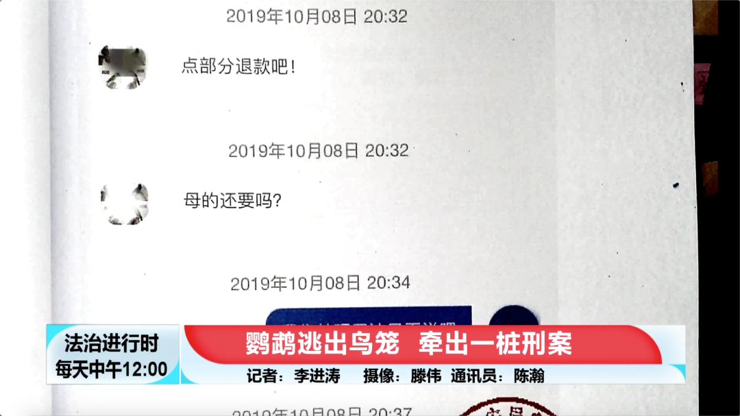 北京奇案：鹦鹉逃出鸟笼，竟然牵出刑事案件