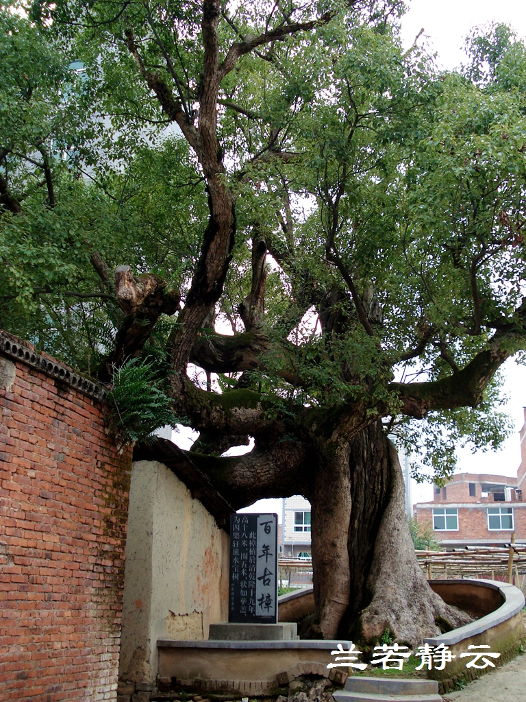 闽清旅游必去十大景点（这四个闽清旅游景点一定要去）