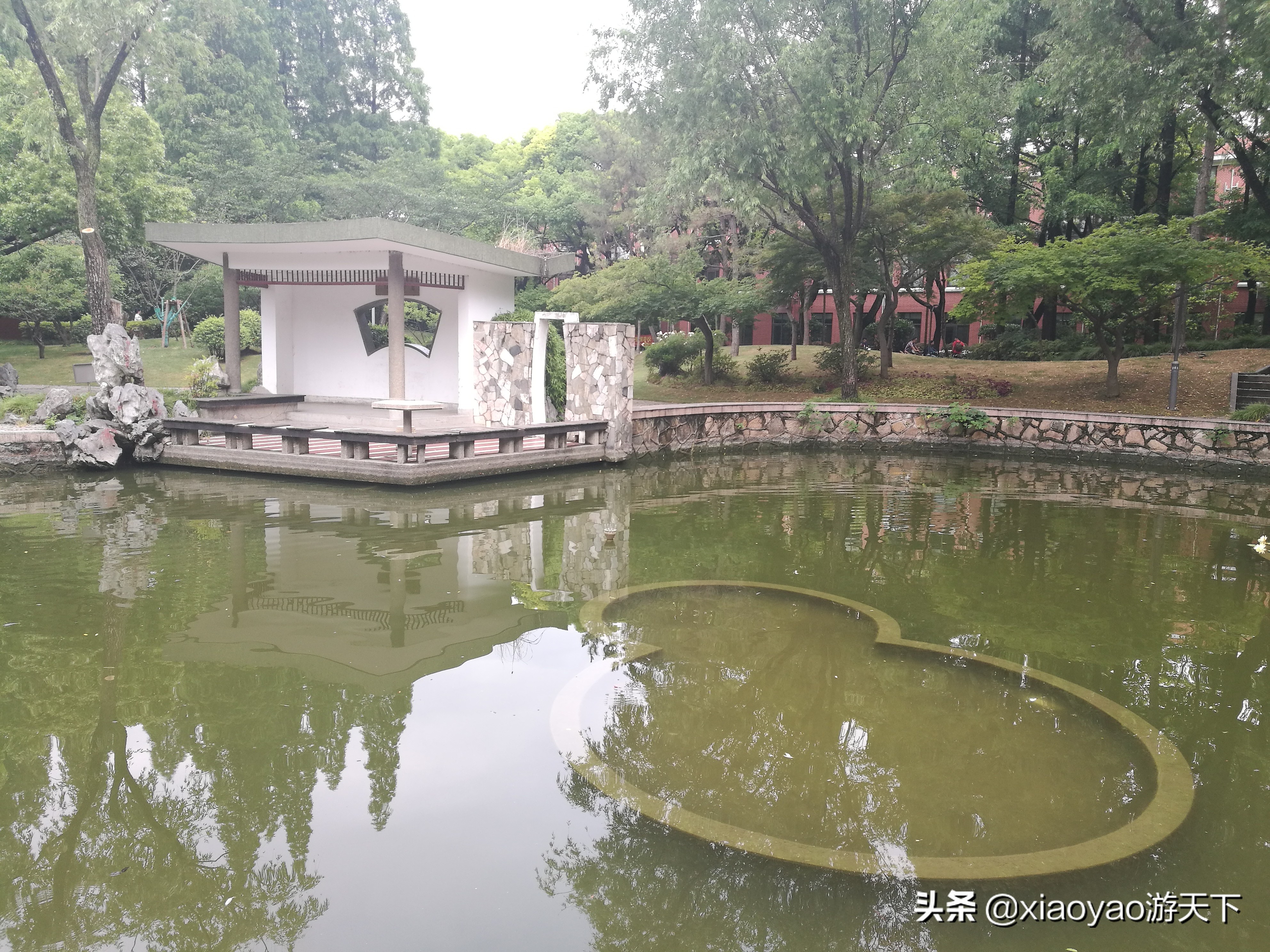 最美大学之旅——复旦大学