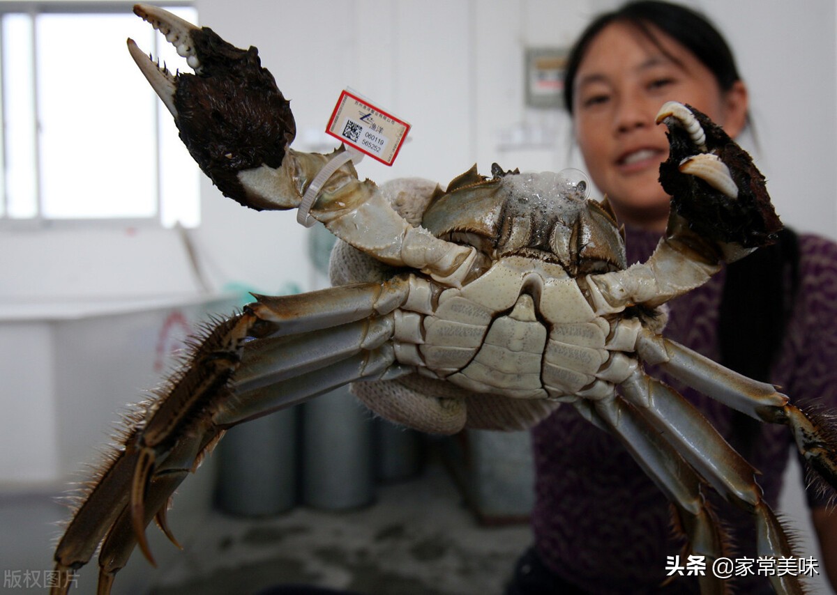 全国哪里的大闸蟹最好吃？中国十大大闸蟹排行榜，看看你吃过几种