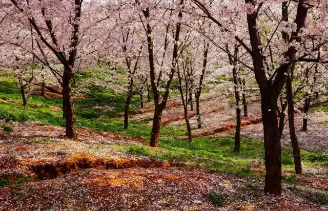 还有9天，贵州人集体放假！85个度假胜地马上安排！