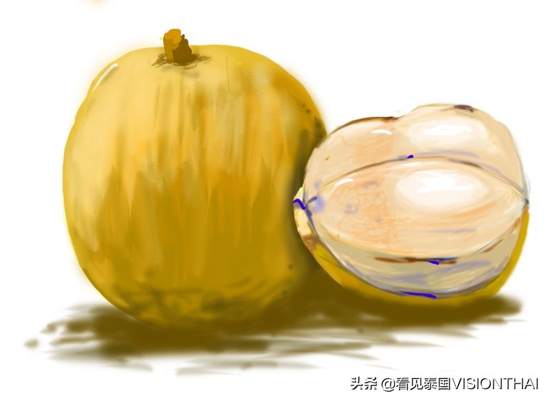 认识13种泰国水果：山竹、榴梿、 蛇皮果、木鳖果、红毛丹…