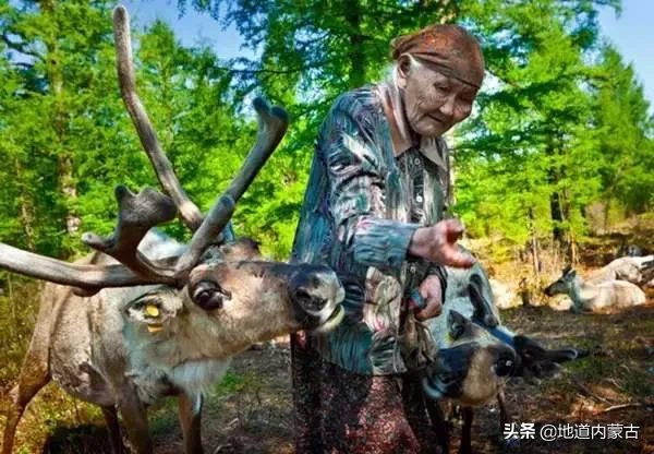 来，呼伦贝尔