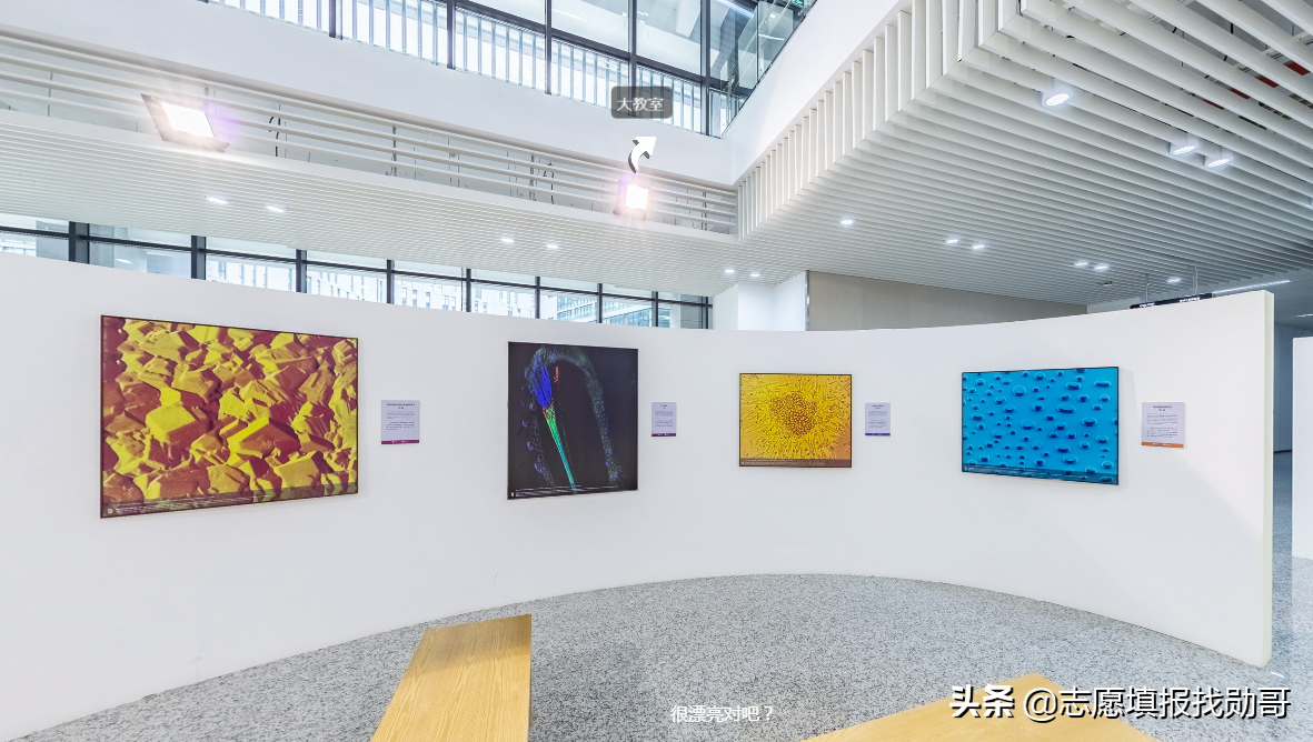 这所中外合作大学，2021广东考生的优选！好机会，可能就这两年