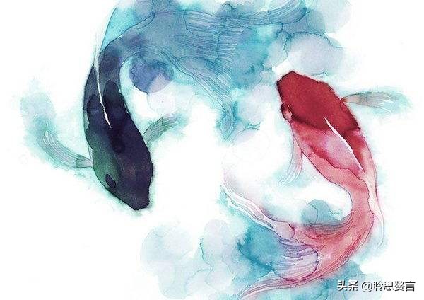 观鱼诗词精选二十四首 我嗟不及群鱼乐，虚作人间半世人