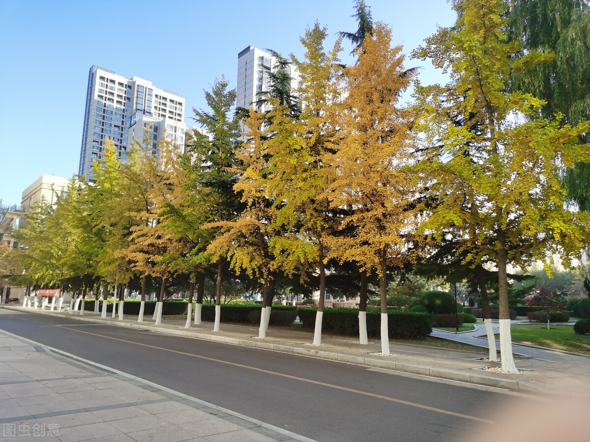 艺考录取分析这6所大学实力不一般，招生广名额多关键是成绩还低