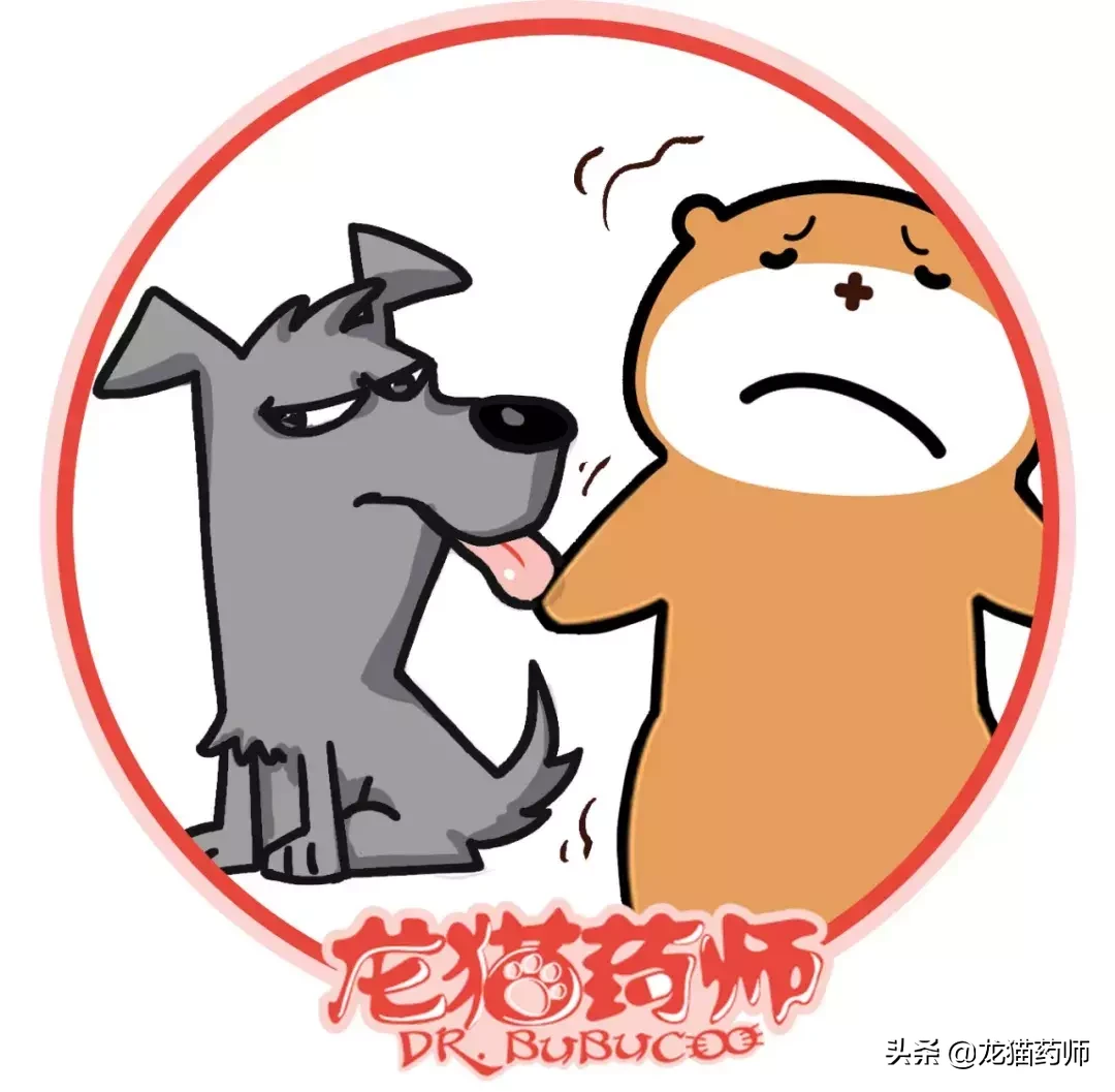 上海最新最全犬伤门诊大全！不慎被汪星人咬伤，这样处理最正确