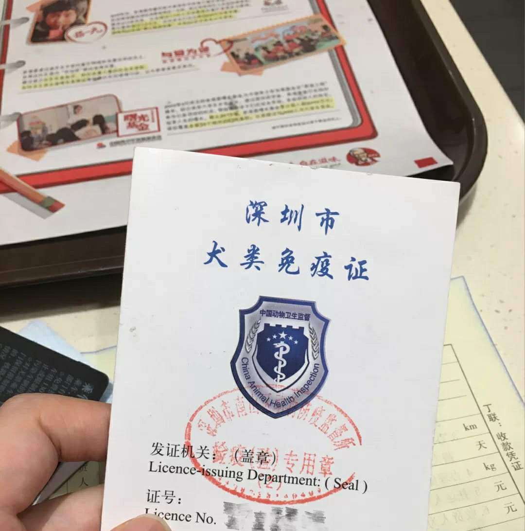 火车怎么托运猫狗等宠物？一定要按照这些步骤来做，搞错了很麻烦