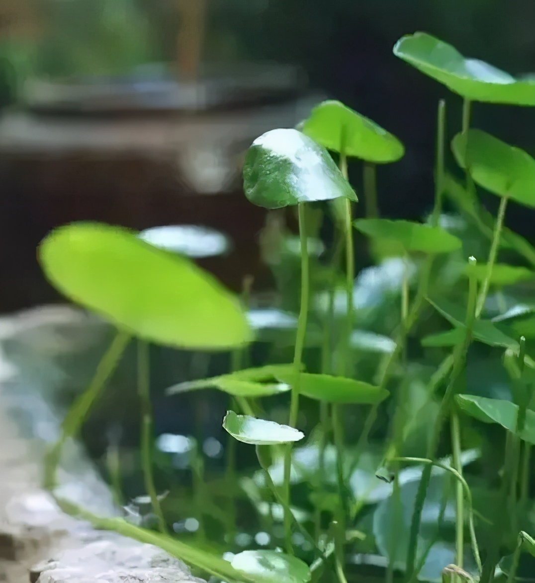 坚持到底的故事(为什么工资低还有人做)