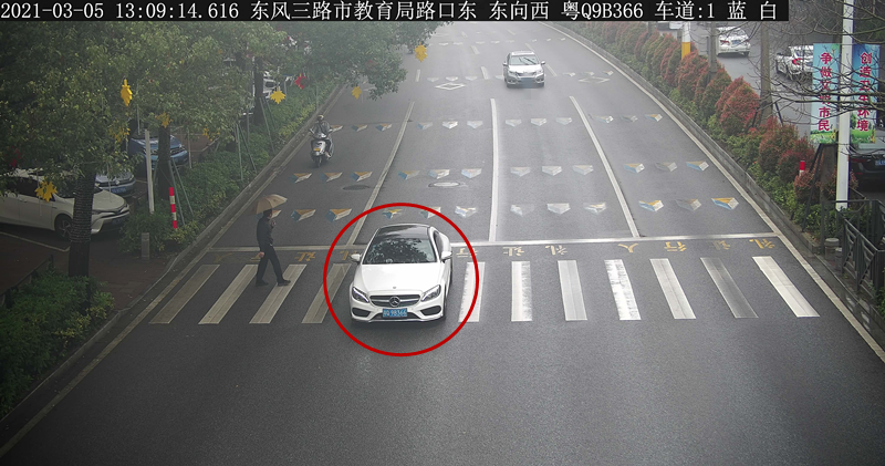 交通违法曝光！