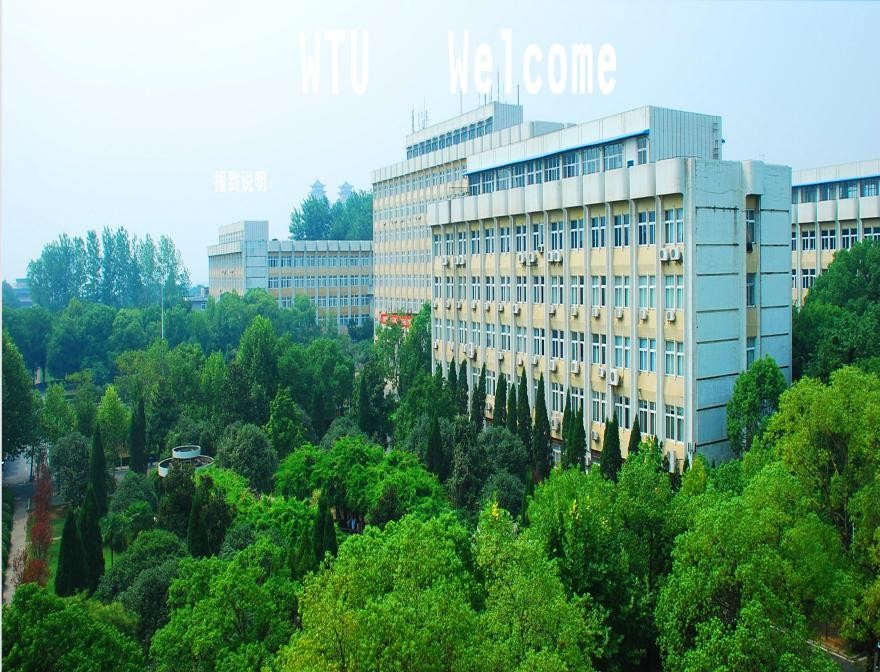 惊艳！央视多次报道！武汉有所高校超千人掌握这项“传统技艺”