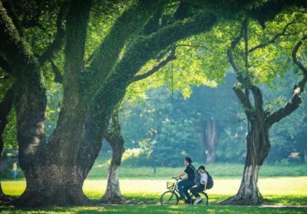 2021高考录取，中山大学获“断档王”称号，多省录取分数创新低