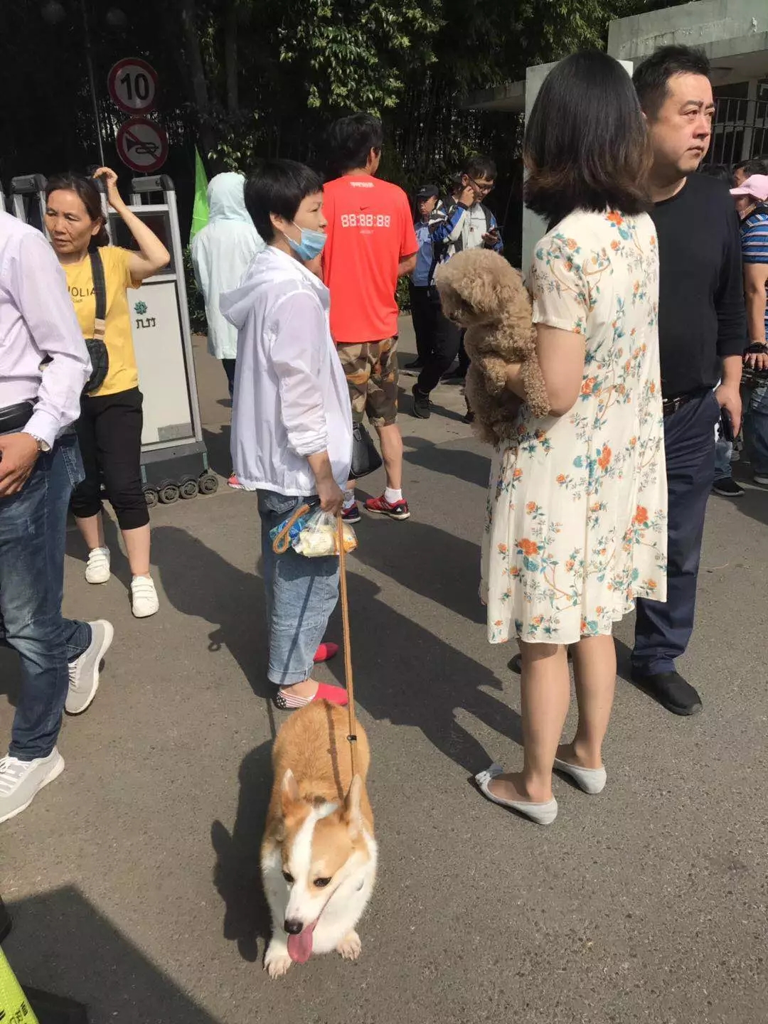 2019江苏高考作文题出炉！看完五味杂陈啊