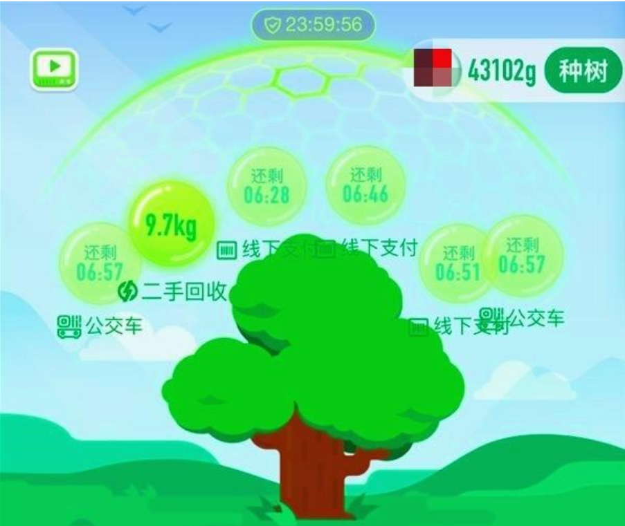 每年投几个亿的蚂蚁森林是赚钱的项目蚂蚁辟谣：所有收益全给客户