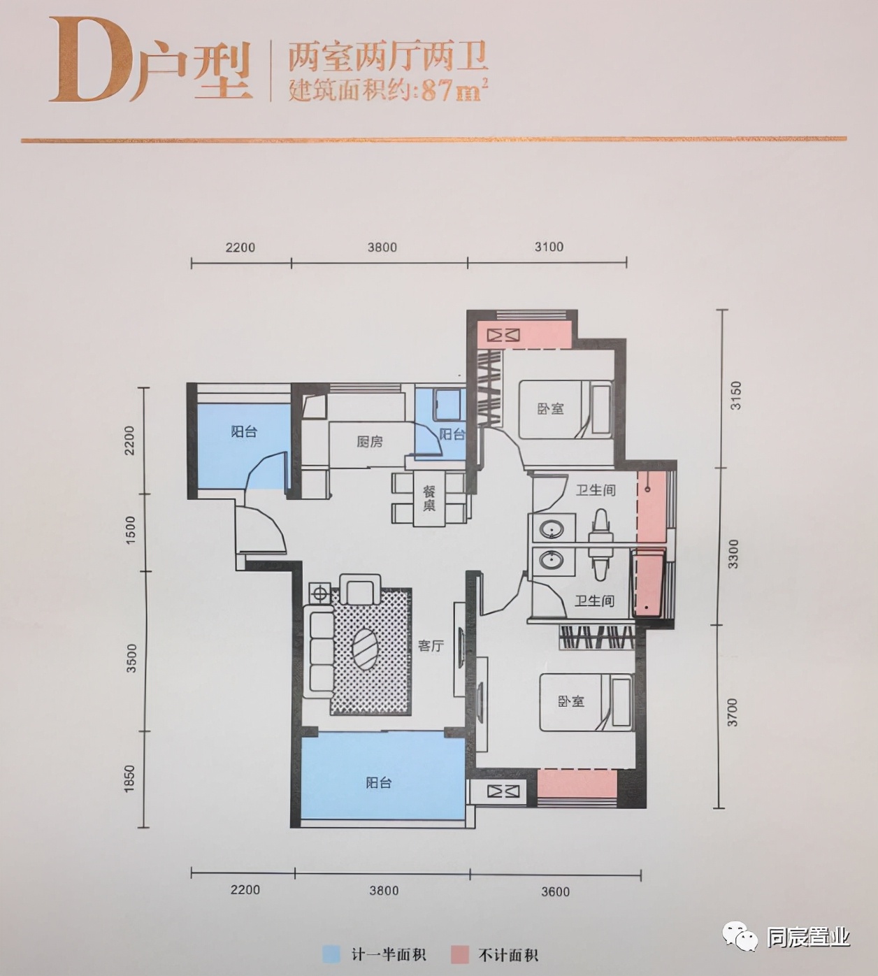 深圳大学优秀生源基地，深大附属教育集团(下)