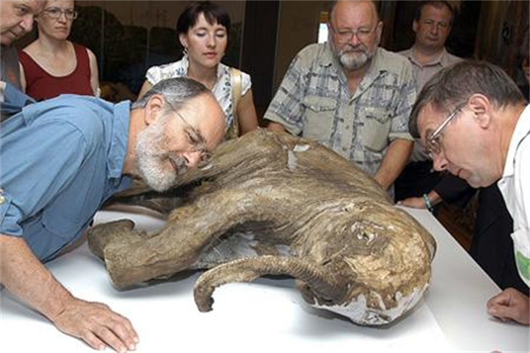为了永生，科学家给自己注射350万年前的细菌，如今怎么样了？