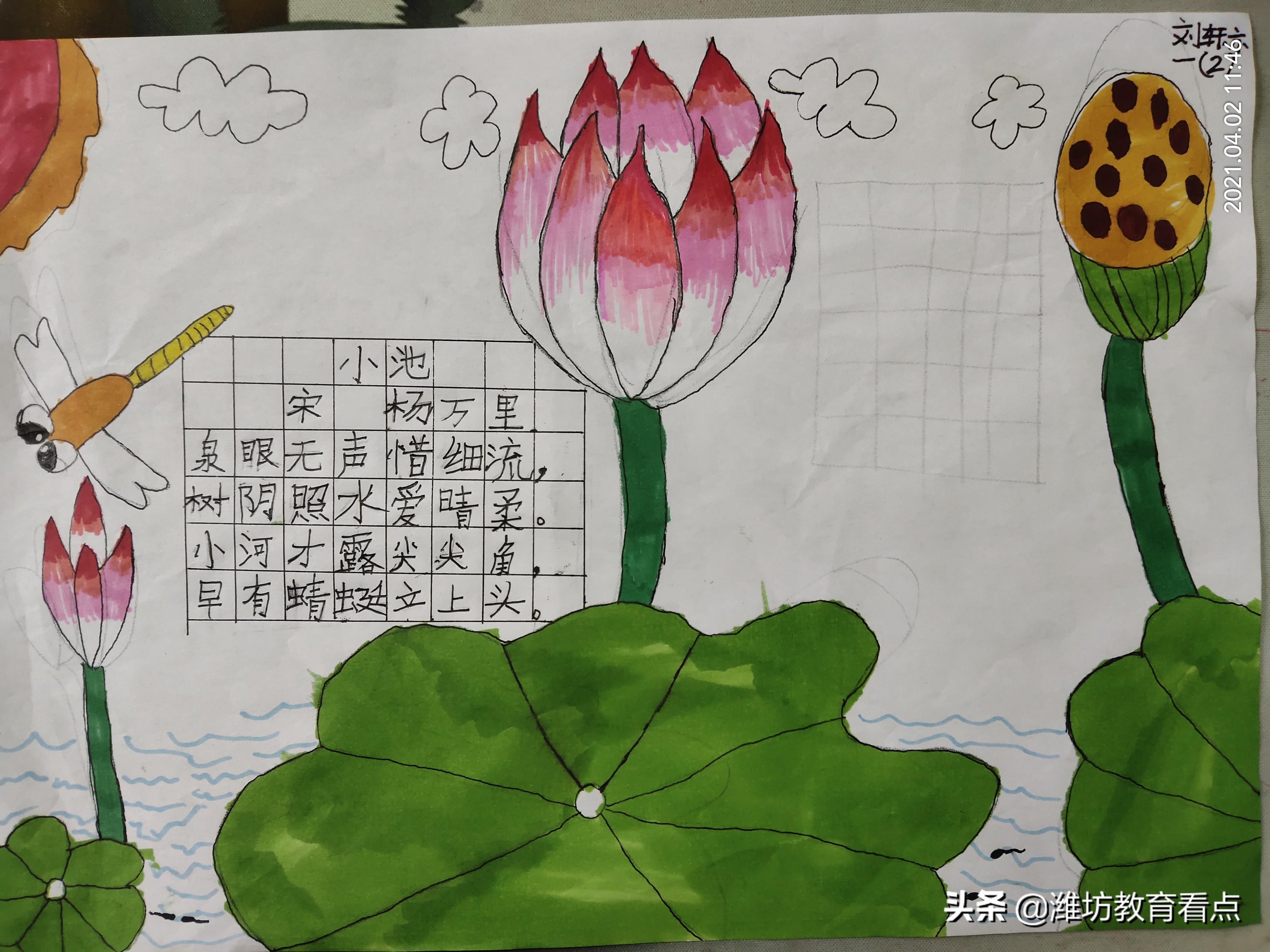 古诗配画「宋」杨万里《小池》:小荷才露尖尖角,早有蜻蜓立上头