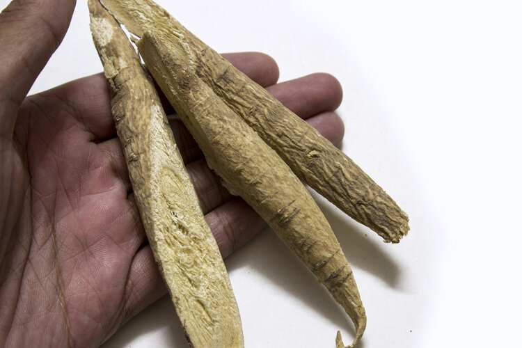 只会用黄芪泡水喝(只会用黄芪泡水喝的人)