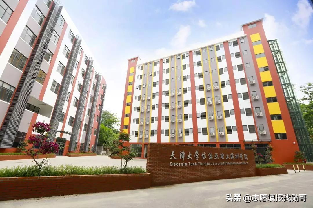 大学新校区“东南飞”成趋势，泄露了哪些秘密？