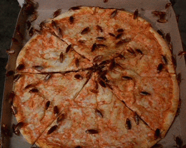 蟑螂爬过的地方怎么处理(如何消灭全屋蟑螂)