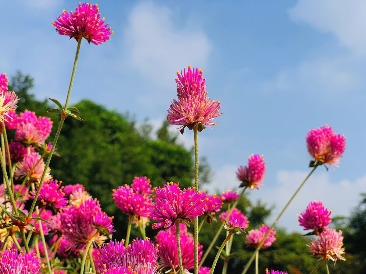 2021广东技术师范大学录取分数