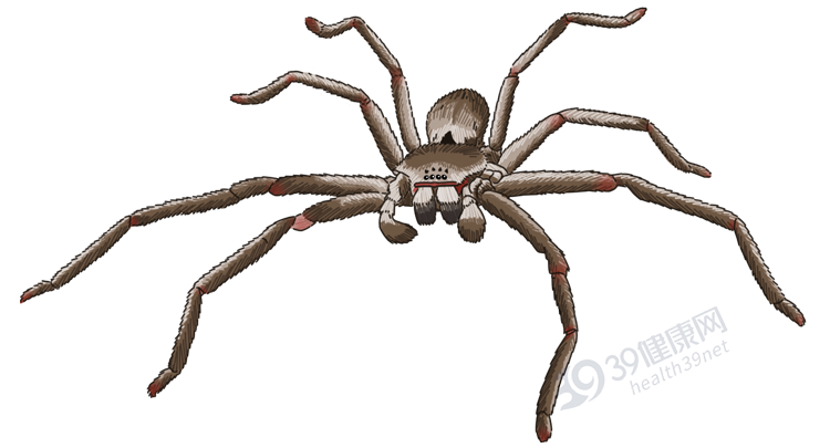 巨物恐惧症:光是看到这些巨大雕像的照片,我就压抑得无法呼吸