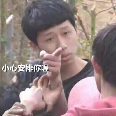 王境泽指人表情包合集｜你再说一遍