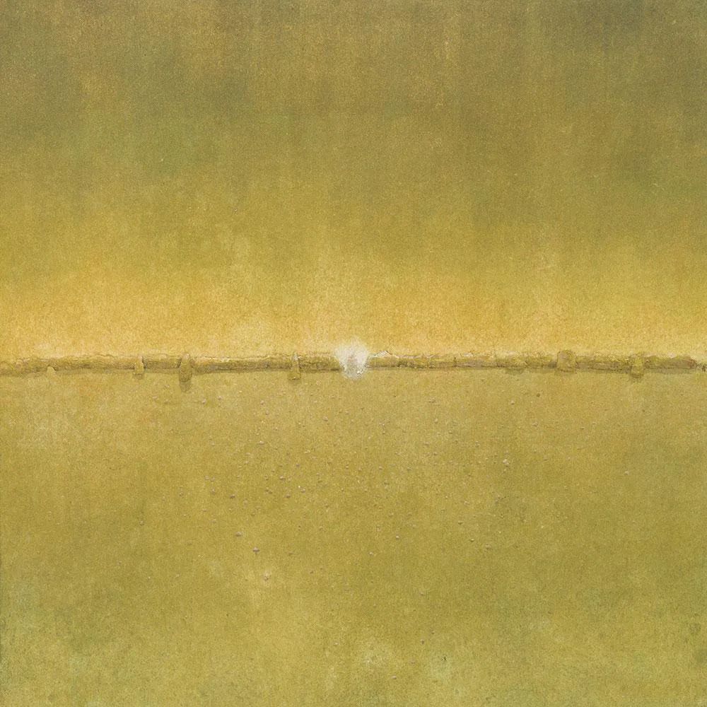 独特的艺术风格，寂静而俊丽