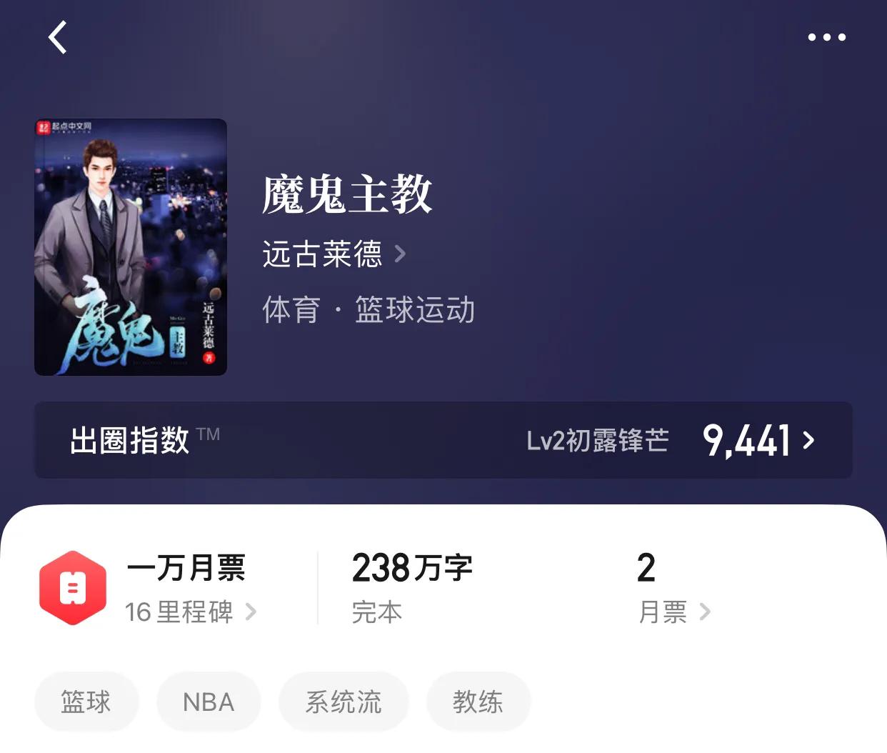 几本篮坛小说，在故事中我们看不到逝去，看到的是重新的辉煌