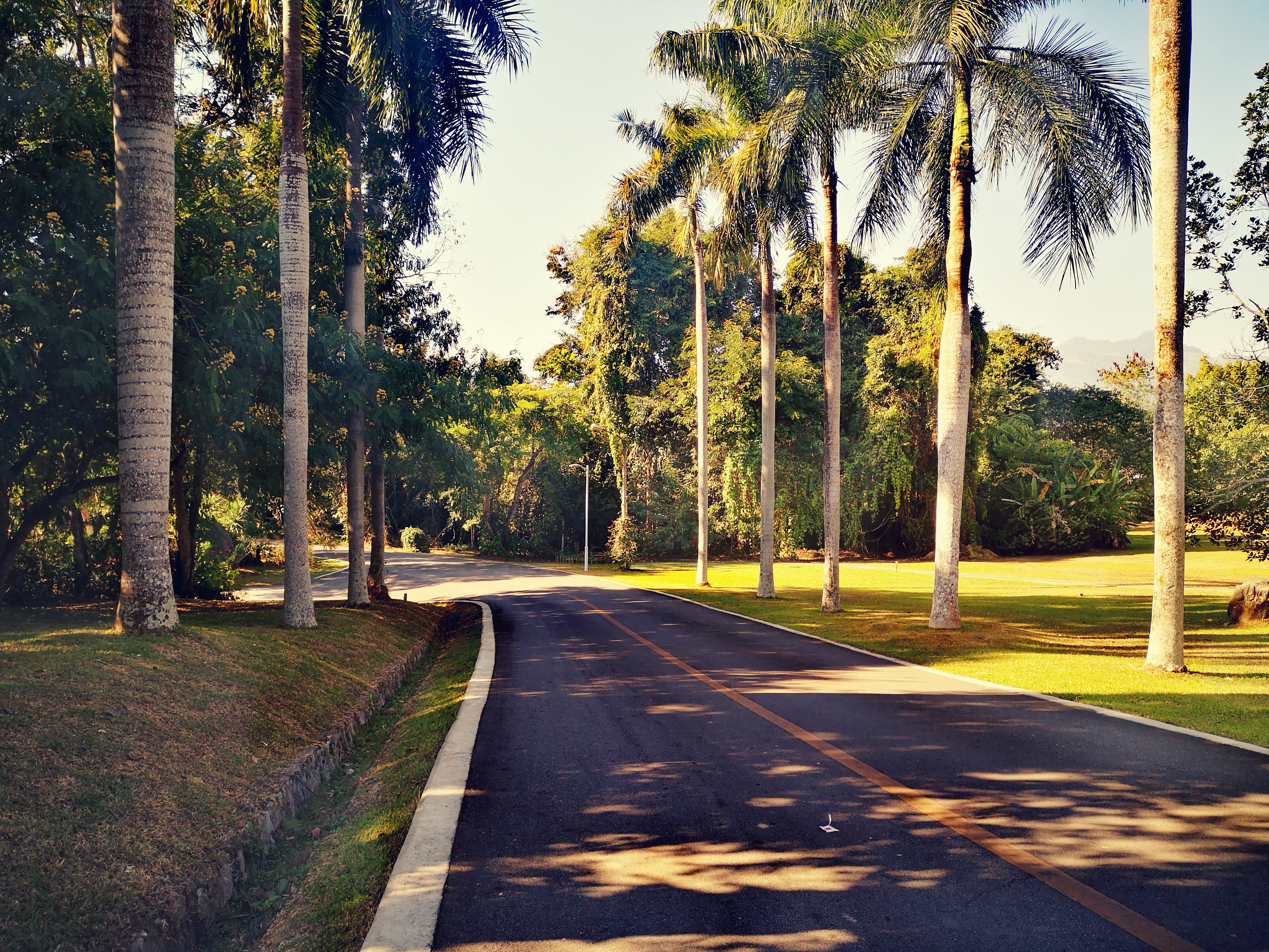 西双版纳8天9晚2600元，中科院热带植物园最详细攻略看这一篇就够