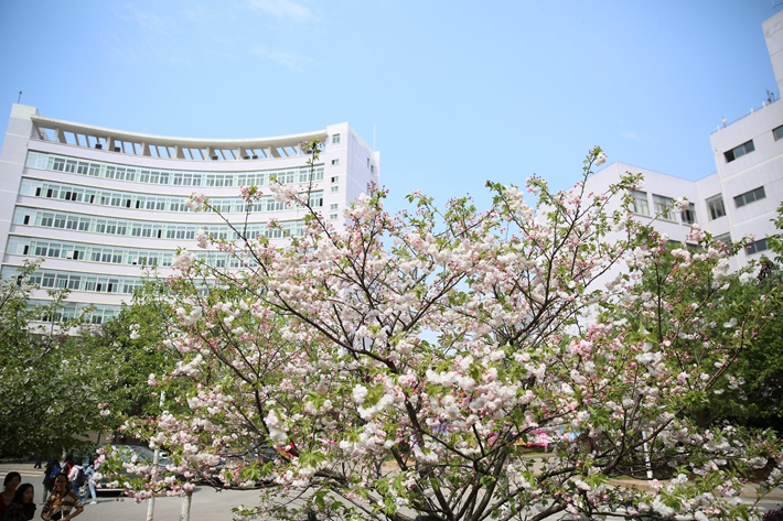 湖南容易被考生忽视的两所高校，优势专业就业前景非常好！