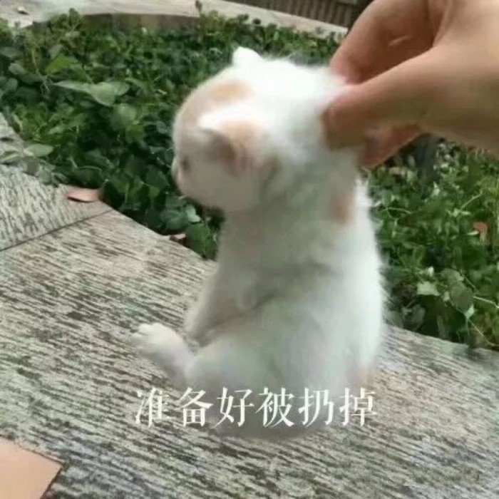 表情包：牵了手，就算约定了