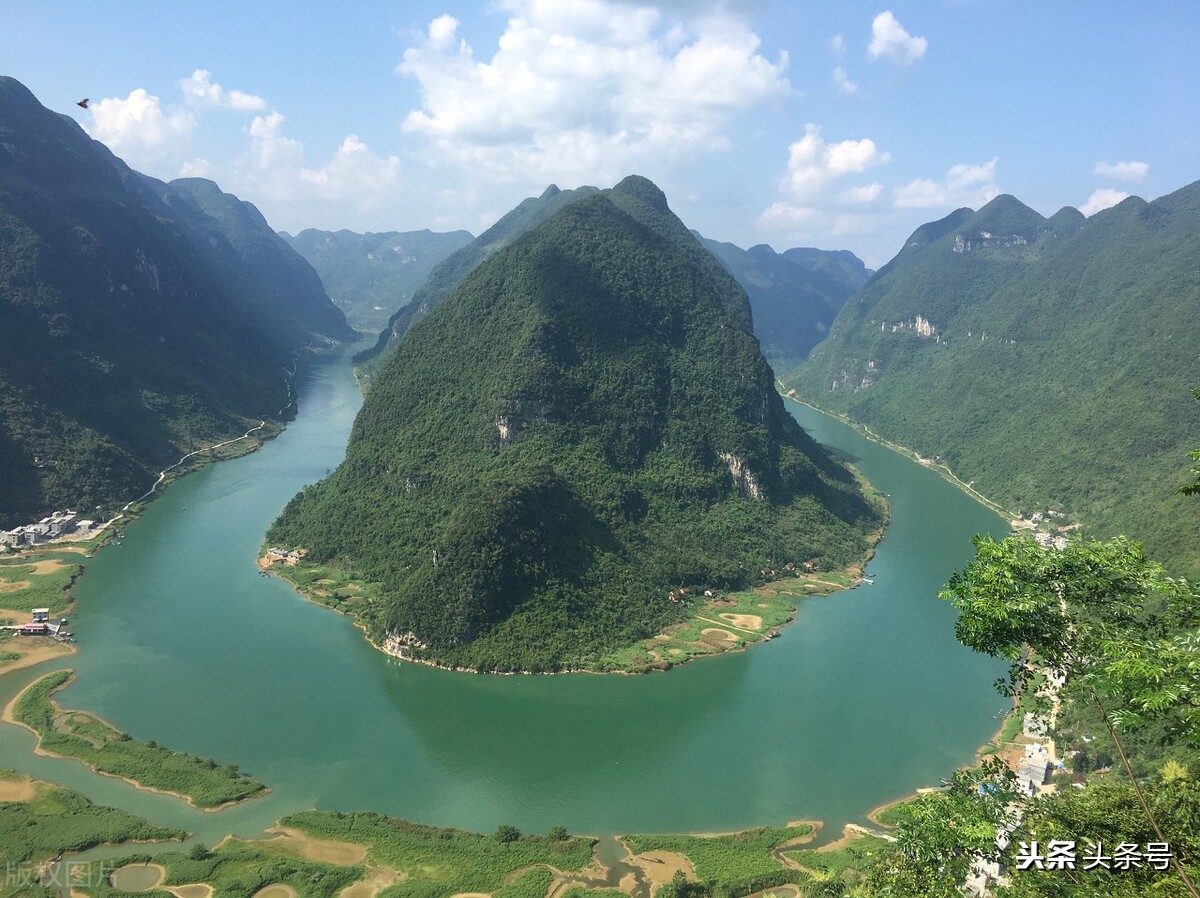 芝麻劍魚,