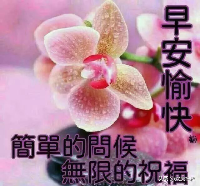 微信漂亮群发早安问候祝福语图片带字，优美的早安祝福语暖心句子