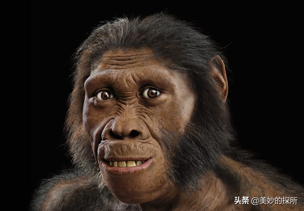 黄种人,黑人,白人为什么可以自由交配,没有产生生殖隔离?