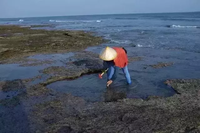 4月最适合去北海涠洲岛浪，等风，发呆，看日落！