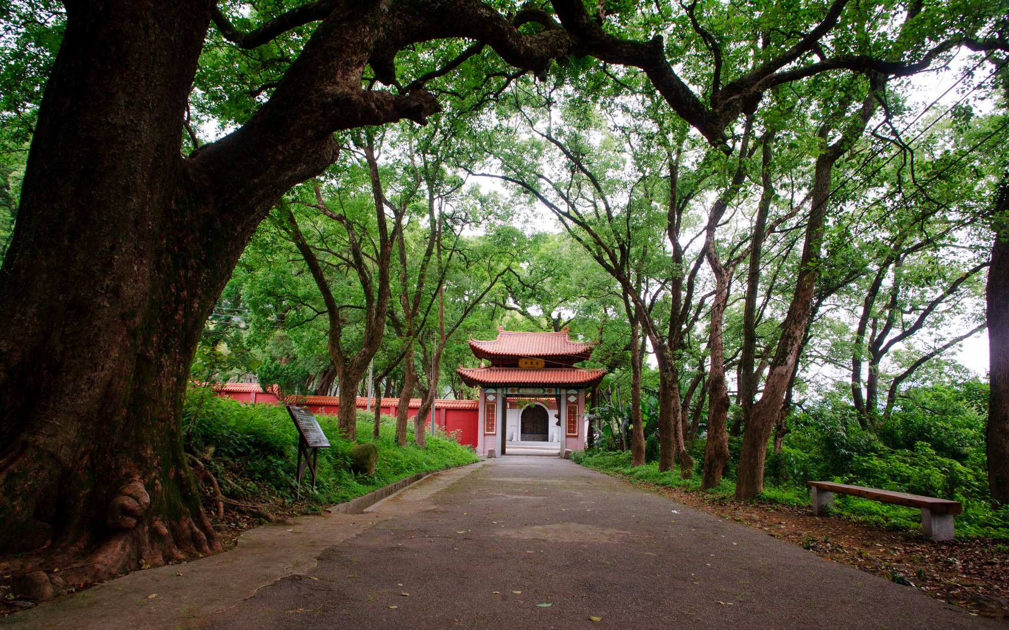 福清灵石山森林公园 灵石山国家森林公园游记 城市经济学