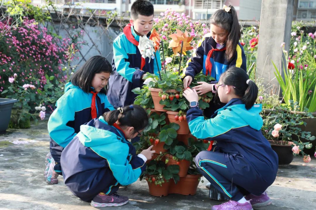 海妈花园访问｜想种花没地方？重庆小学老师在学校楼顶造了座花园