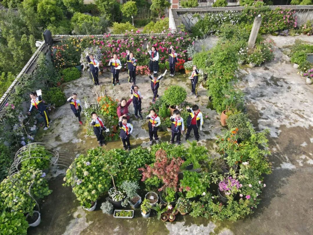 海妈花园访问｜想种花没地方？重庆小学老师在学校楼顶造了座花园