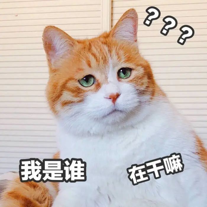“Cherry”正确读音揭秘：别再误用Coco当英文名了