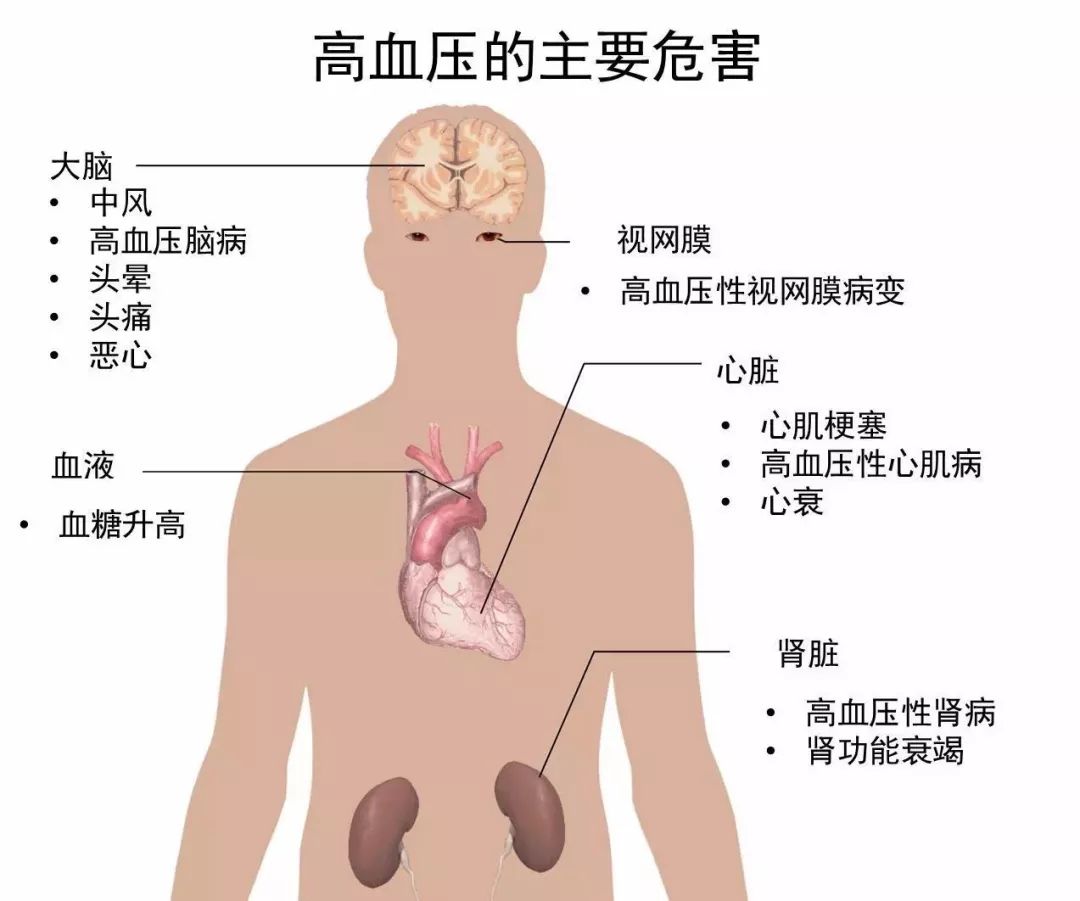 为什么有的人血压很高也没事_有的人高血压为什么没反应