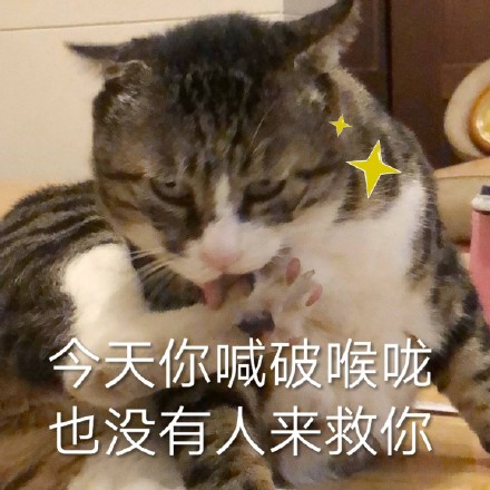 猫咪表情包：对不起，我是保安